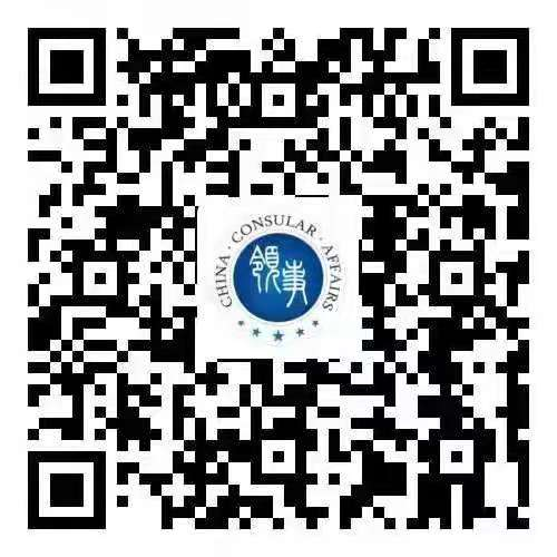 中国领事APP 2.jpg